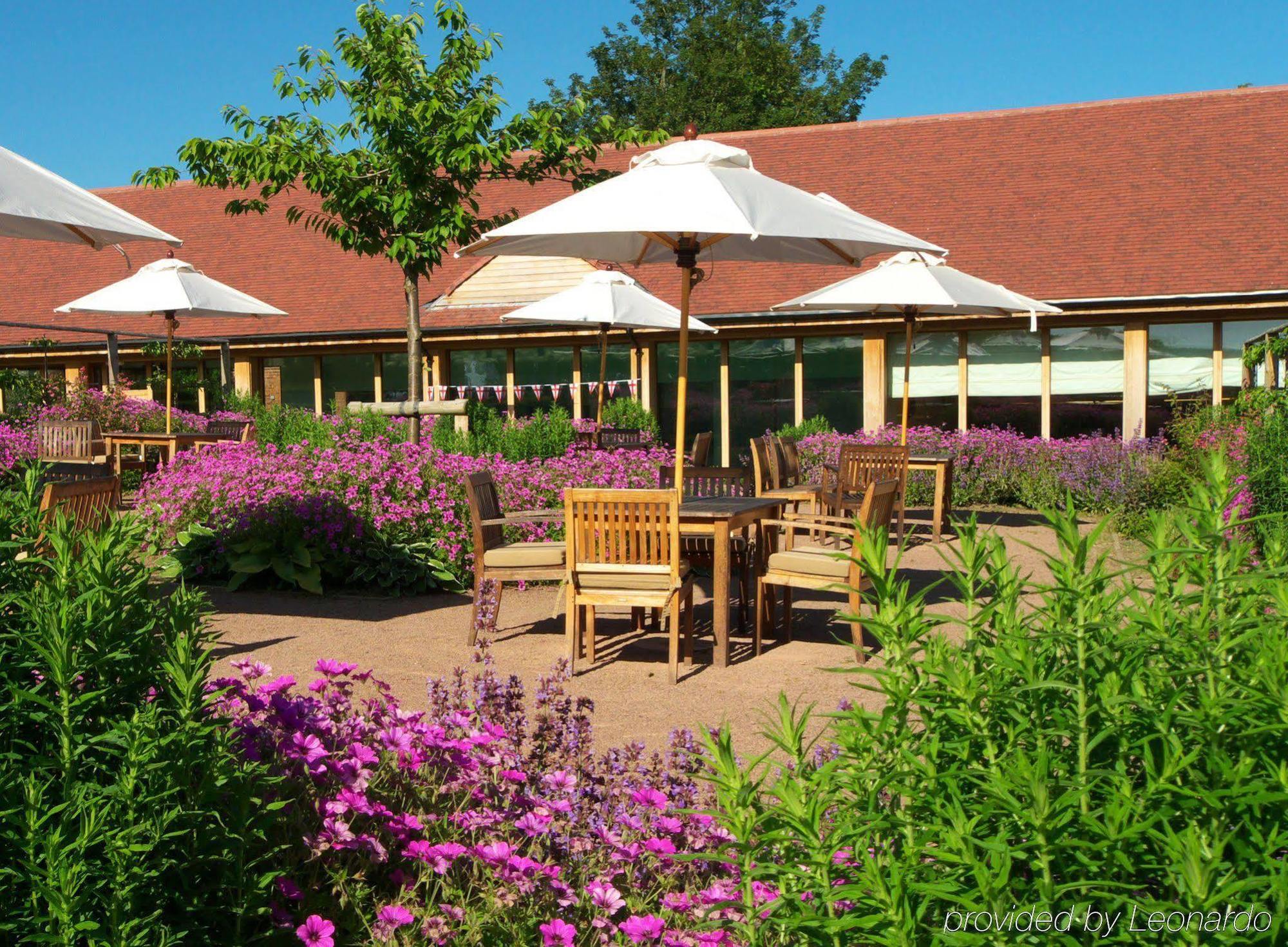 The Elms Hotel & Spa Abberley Exteriér fotografie